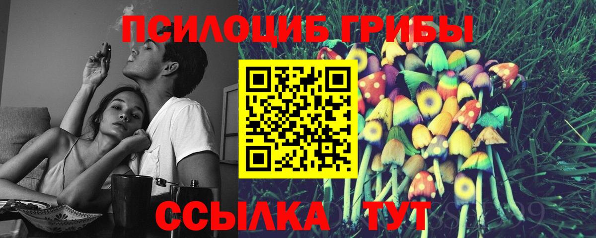 как найти закладки  Вход с VPN  Вышний Волочёк  Псилоцибиновые грибы Magic Shrooms 